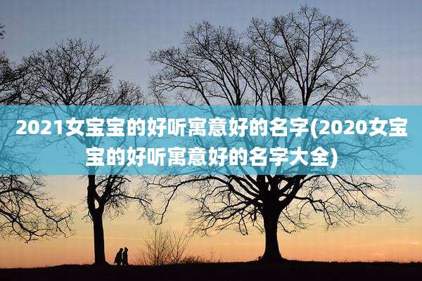 2021女宝宝的好听寓意好的名字(2020女宝宝的好听寓意好的名字大全)