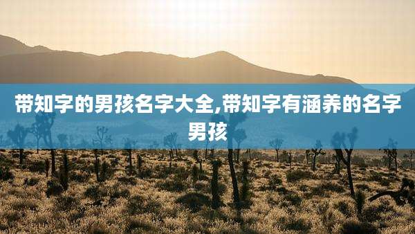 带知字的男孩名字大全,带知字有涵养的名字男孩
