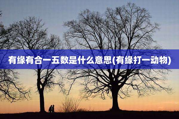 有缘有合一五数是什么意思(有缘打一动物)