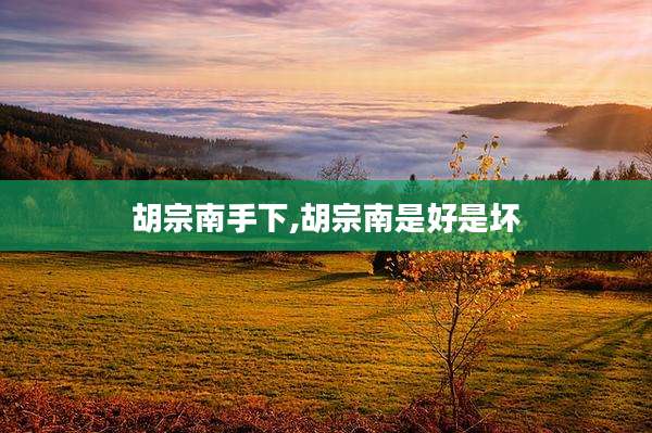 胡宗南手下,胡宗南是好是坏