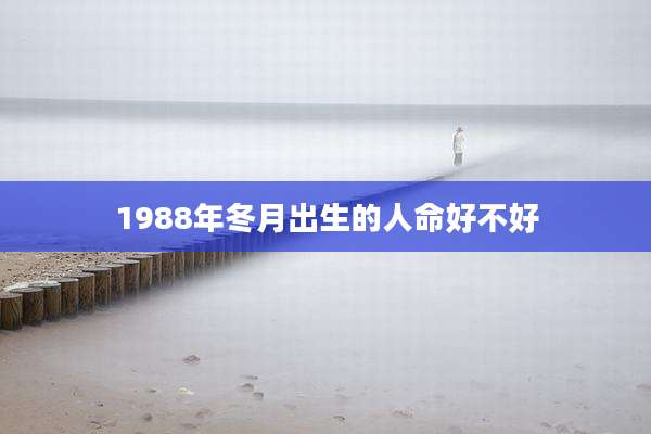 1988年冬月出生的人命好不好