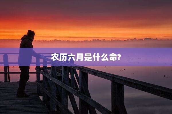 农历六月是什么命?