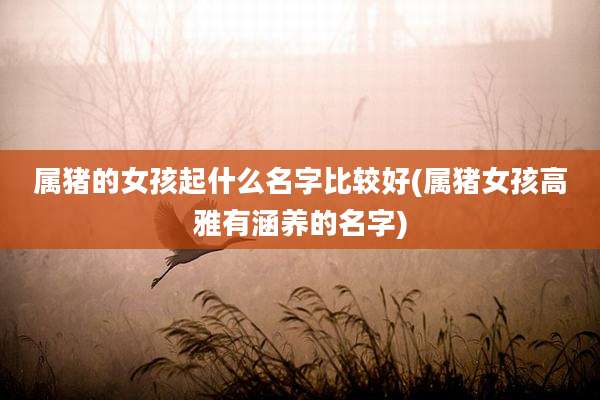 属猪的女孩起什么名字比较好(属猪女孩高雅有涵养的名字)