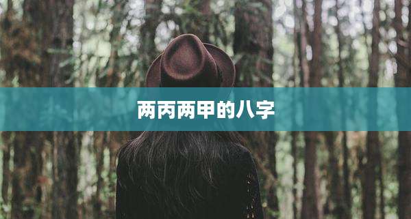 两丙两甲的八字