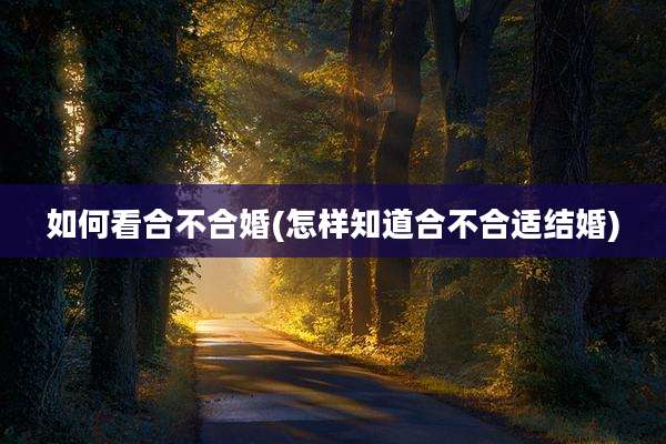 如何看合不合婚(怎样知道合不合适结婚)