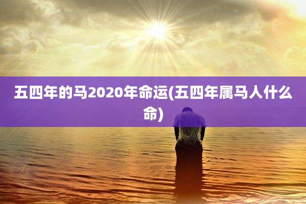 五四年的马2020年命运(五四年属马人什么命)