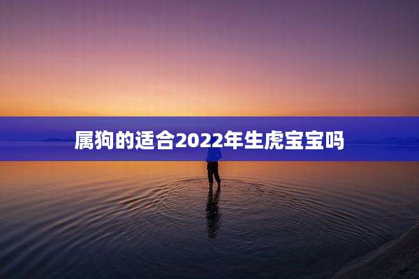 属狗的适合2022年生虎宝宝吗