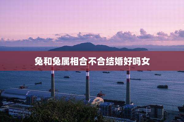 兔和兔属相合不合结婚好吗女