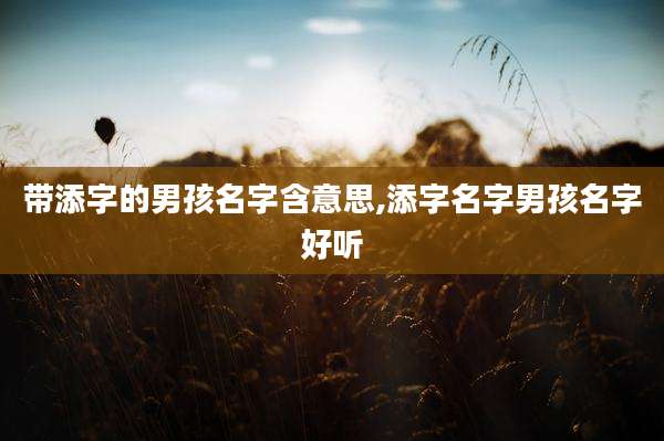 带添字的男孩名字含意思,添字名字男孩名字好听