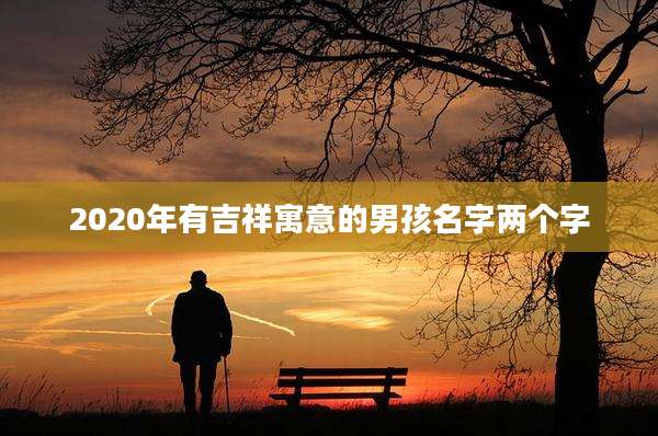 2020年有吉祥寓意的男孩名字两个字