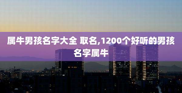 属牛男孩名字大全 取名,1200个好听的男孩名字属牛