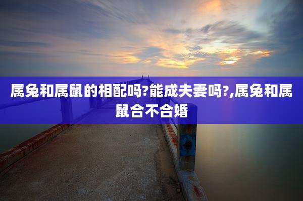 属兔和属鼠的相配吗?能成夫妻吗?,属兔和属鼠合不合婚