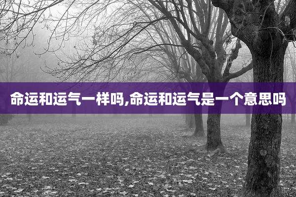 命运和运气一样吗,命运和运气是一个意思吗