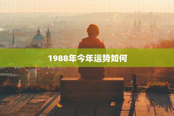 1988年今年运势如何