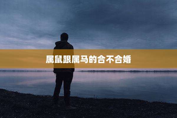 属鼠跟属马的合不合婚