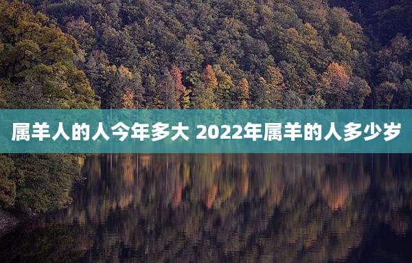 属羊人的人今年多大 2022年属羊的人多少岁