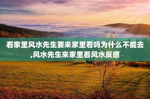 看家里风水先生要来家里看吗为什么不能去,风水先生来家里看风水反感