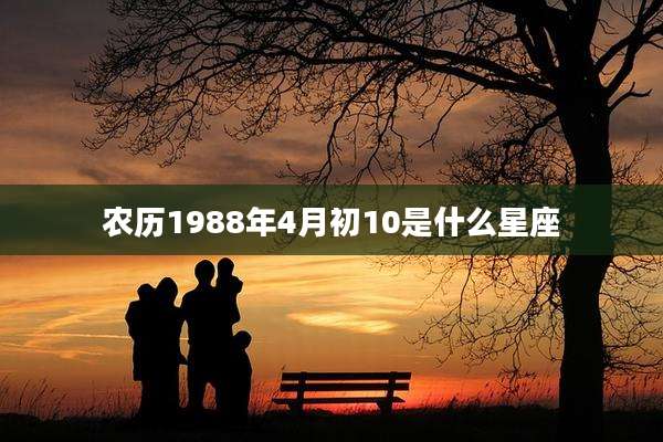 农历1988年4月初10是什么星座