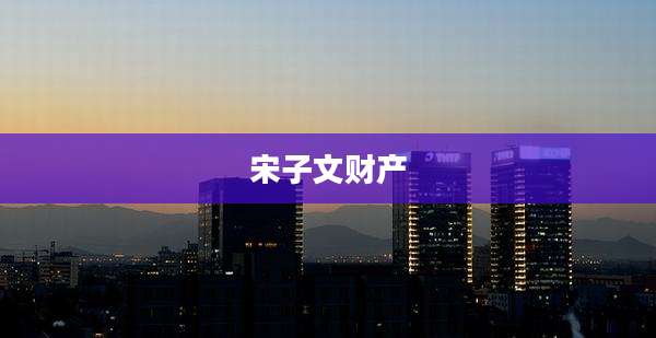 宋子文财产