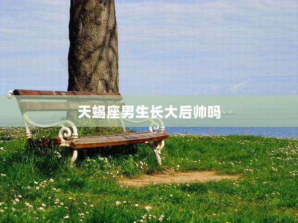 天蝎座男生长大后帅吗