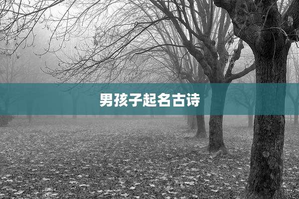 男孩子起名古诗
