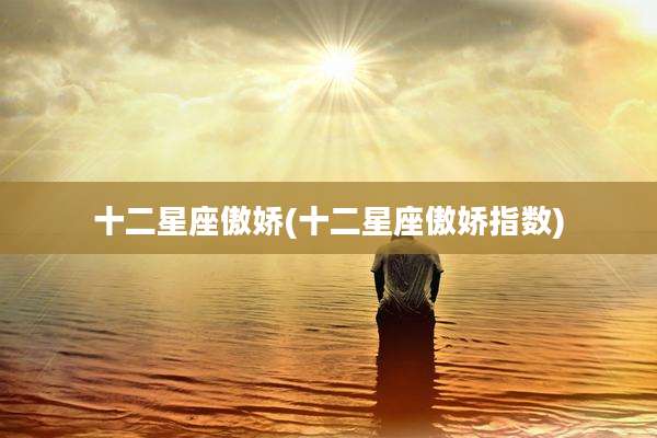 十二星座傲娇(十二星座傲娇指数)