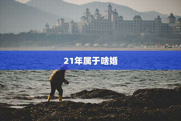 21年属于啥婚