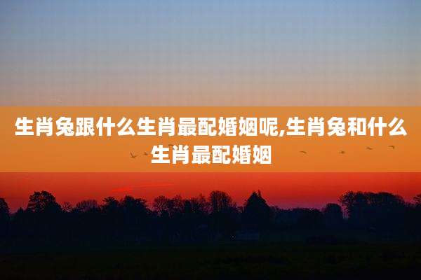 生肖兔跟什么生肖最配婚姻呢,生肖兔和什么生肖最配婚姻