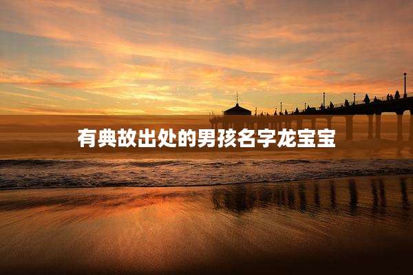 有典故出处的男孩名字龙宝宝