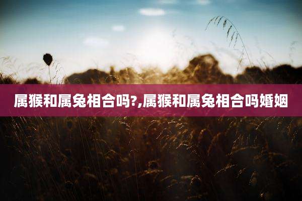 属猴和属兔相合吗?,属猴和属兔相合吗婚姻