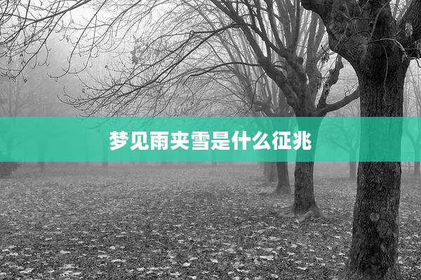 梦见雨夹雪是什么征兆