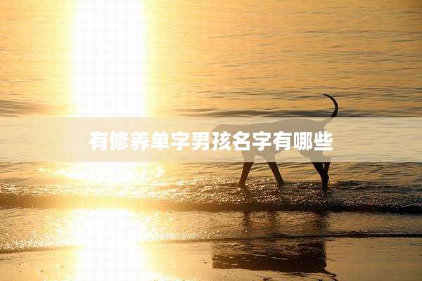有修养单字男孩名字有哪些