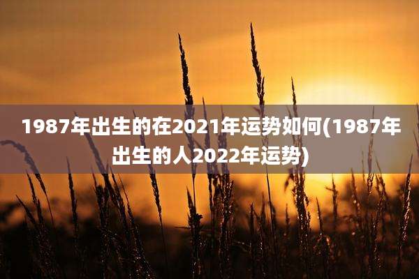 1987年出生的在2021年运势如何(1987年出生的人2022年运势)