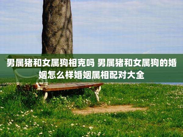 男属猪和女属狗相克吗 男属猪和女属狗的婚姻怎么样婚姻属相配对大全