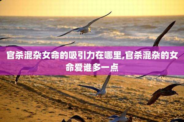 官杀混杂女命的吸引力在哪里,官杀混杂的女命爱谁多一点