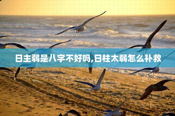 日主弱是八字不好吗,日柱太弱怎么补救