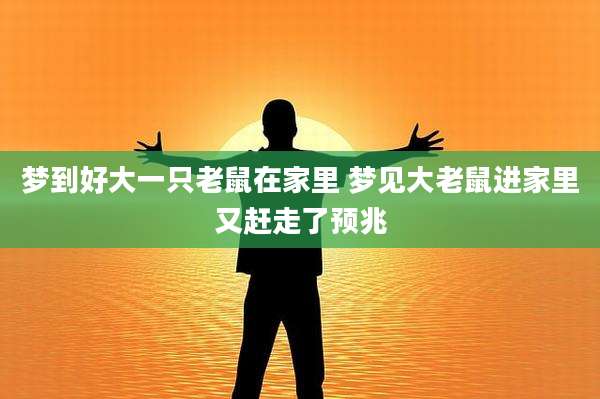 梦到好大一只老鼠在家里 梦见大老鼠进家里又赶走了预兆
