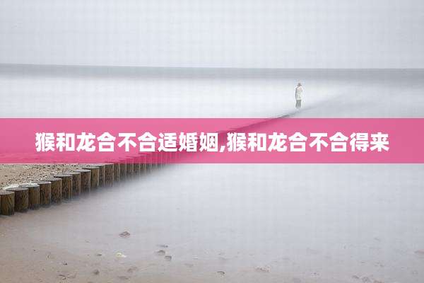 猴和龙合不合适婚姻,猴和龙合不合得来