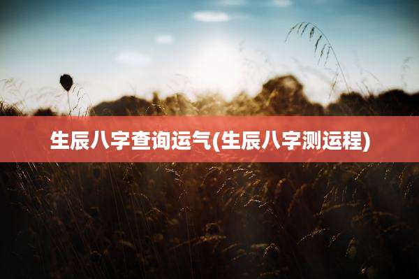 生辰八字查询运气(生辰八字测运程)