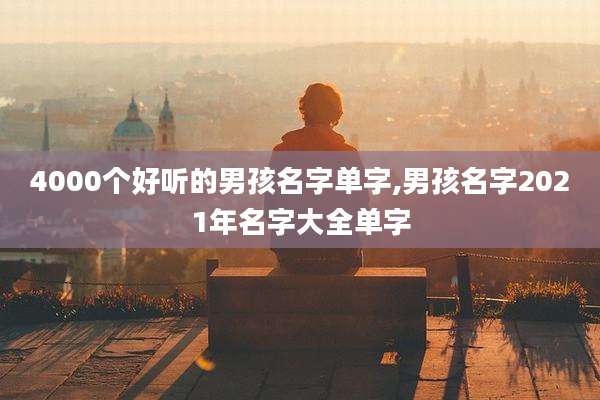 4000个好听的男孩名字单字,男孩名字2021年名字大全单字