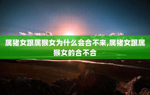 属猪女跟属猴女为什么会合不来,属猪女跟属猴女的合不合