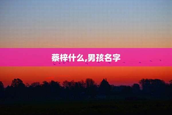 蔡梓什么,男孩名字