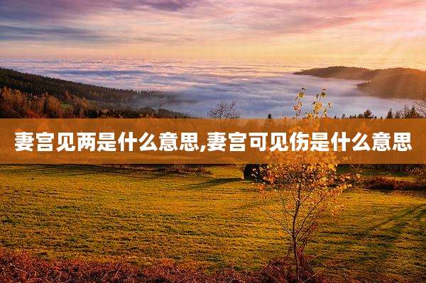 妻宫见两是什么意思,妻宫可见伤是什么意思