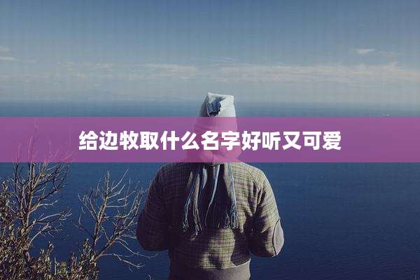 给边牧取什么名字好听又可爱