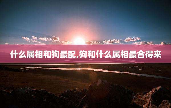 什么属相和狗最配,狗和什么属相最合得来