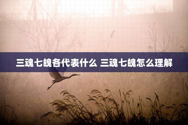 三魂七魄各代表什么 三魂七魄怎么理解