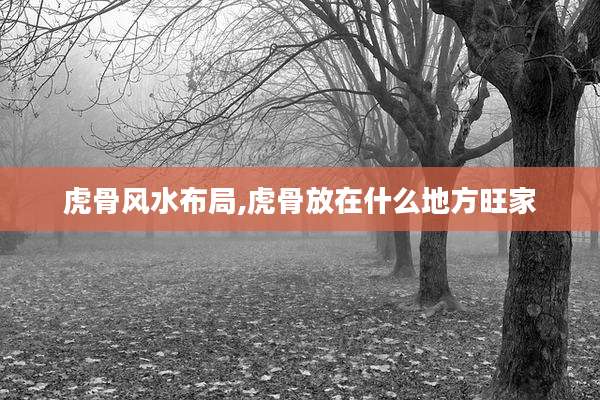虎骨风水布局,虎骨放在什么地方旺家