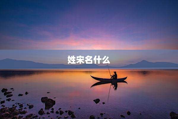 姓宋名什么