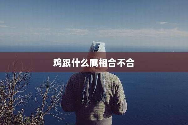 鸡跟什么属相合不合