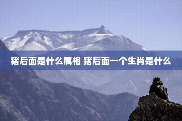 猪后面是什么属相 猪后面一个生肖是什么
